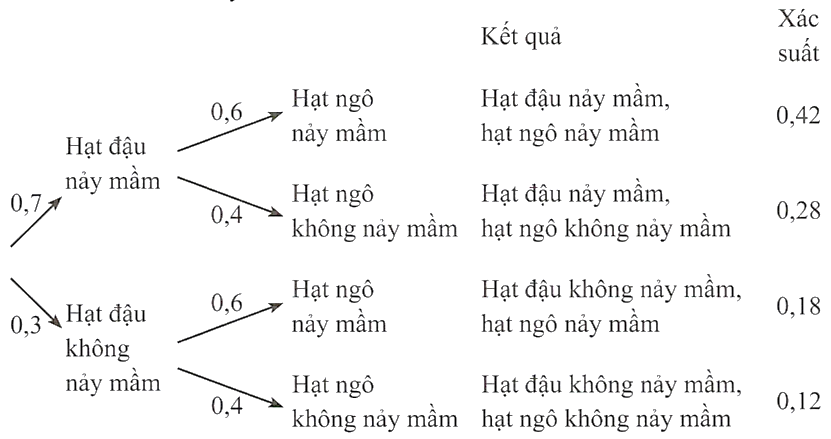 Hình minh họa câu hỏi